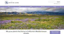 Desktop Screenshot of nativeson.com