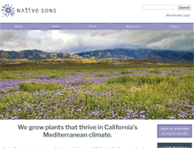 Tablet Screenshot of nativeson.com